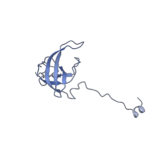 12635_7nwt_q_v1-0
Initiated 70S ribosome in complex with 2A protein from encephalomyocarditis virus (EMCV)