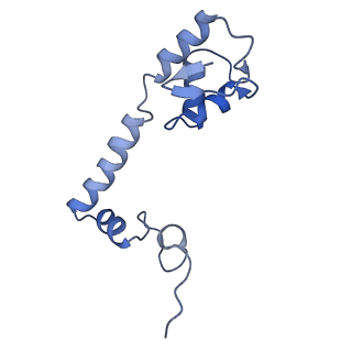 12635_7nwt_r_v1-0
Initiated 70S ribosome in complex with 2A protein from encephalomyocarditis virus (EMCV)