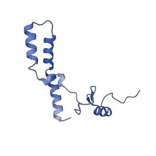 12635_7nwt_s_v1-0
Initiated 70S ribosome in complex with 2A protein from encephalomyocarditis virus (EMCV)