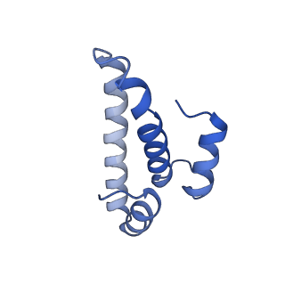 12635_7nwt_t_v1-0
Initiated 70S ribosome in complex with 2A protein from encephalomyocarditis virus (EMCV)