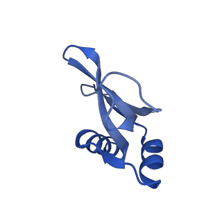 12635_7nwt_u_v1-0
Initiated 70S ribosome in complex with 2A protein from encephalomyocarditis virus (EMCV)