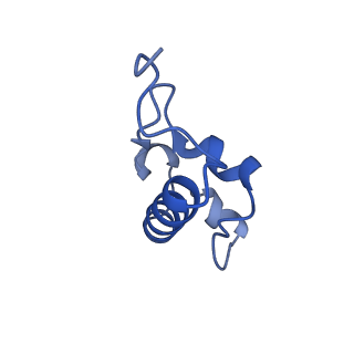 12635_7nwt_w_v1-0
Initiated 70S ribosome in complex with 2A protein from encephalomyocarditis virus (EMCV)