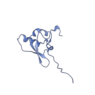 12635_7nwt_x_v1-0
Initiated 70S ribosome in complex with 2A protein from encephalomyocarditis virus (EMCV)