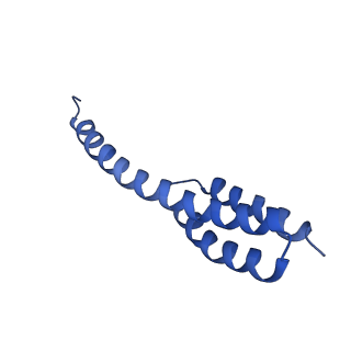 12635_7nwt_y_v1-0
Initiated 70S ribosome in complex with 2A protein from encephalomyocarditis virus (EMCV)
