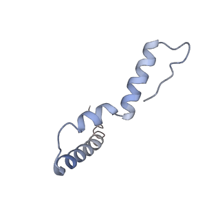 12635_7nwt_z_v1-0
Initiated 70S ribosome in complex with 2A protein from encephalomyocarditis virus (EMCV)