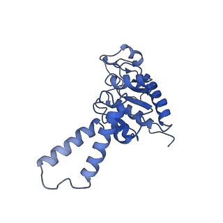 3713_5nwy_1_v1-2
2.9 A cryo-EM structure of VemP-stalled ribosome-nascent chain complex