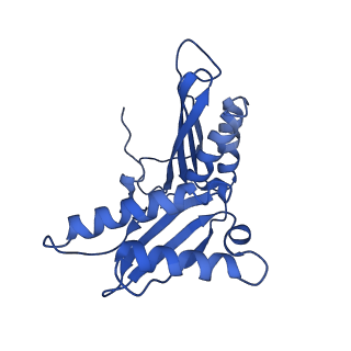 3713_5nwy_2_v1-2
2.9 A cryo-EM structure of VemP-stalled ribosome-nascent chain complex