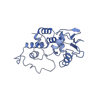 3713_5nwy_3_v1-2
2.9 A cryo-EM structure of VemP-stalled ribosome-nascent chain complex