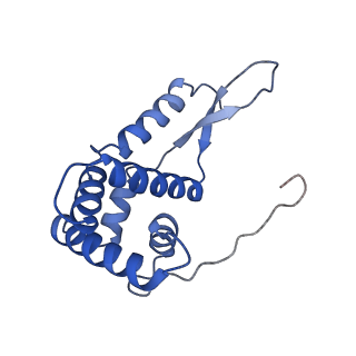 3713_5nwy_6_v1-2
2.9 A cryo-EM structure of VemP-stalled ribosome-nascent chain complex