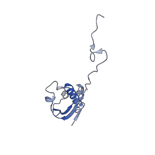 3713_5nwy_8_v1-2
2.9 A cryo-EM structure of VemP-stalled ribosome-nascent chain complex
