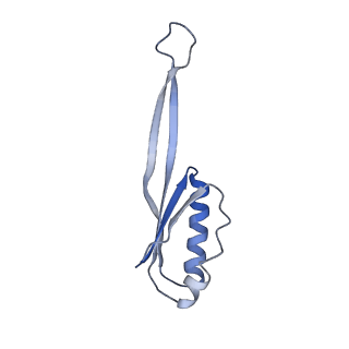 3713_5nwy_9_v1-2
2.9 A cryo-EM structure of VemP-stalled ribosome-nascent chain complex