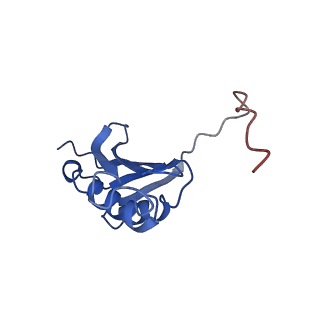 3713_5nwy_A_v1-2
2.9 A cryo-EM structure of VemP-stalled ribosome-nascent chain complex