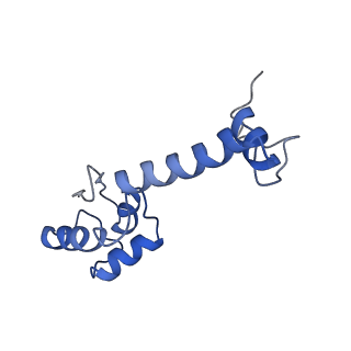 3713_5nwy_C_v1-2
2.9 A cryo-EM structure of VemP-stalled ribosome-nascent chain complex