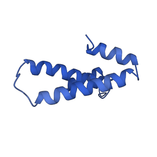 3713_5nwy_E_v1-2
2.9 A cryo-EM structure of VemP-stalled ribosome-nascent chain complex