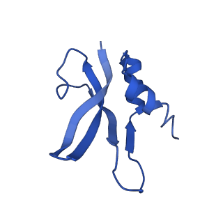 3713_5nwy_F_v1-2
2.9 A cryo-EM structure of VemP-stalled ribosome-nascent chain complex