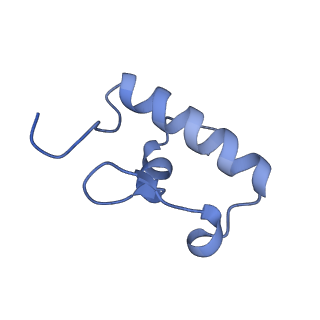 3713_5nwy_H_v1-2
2.9 A cryo-EM structure of VemP-stalled ribosome-nascent chain complex