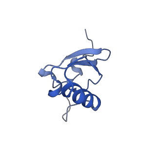 3713_5nwy_I_v1-2
2.9 A cryo-EM structure of VemP-stalled ribosome-nascent chain complex