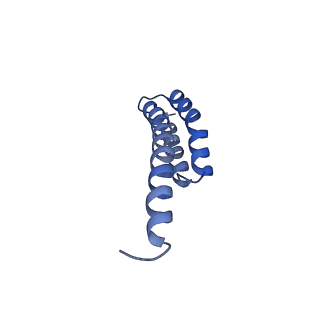 3713_5nwy_J_v1-2
2.9 A cryo-EM structure of VemP-stalled ribosome-nascent chain complex