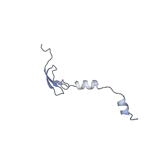 3713_5nwy_L_v1-2
2.9 A cryo-EM structure of VemP-stalled ribosome-nascent chain complex