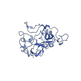 3713_5nwy_P_v1-2
2.9 A cryo-EM structure of VemP-stalled ribosome-nascent chain complex