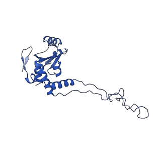 3713_5nwy_R_v1-2
2.9 A cryo-EM structure of VemP-stalled ribosome-nascent chain complex