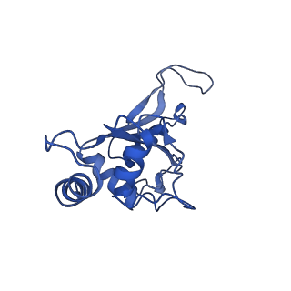 3713_5nwy_S_v1-2
2.9 A cryo-EM structure of VemP-stalled ribosome-nascent chain complex