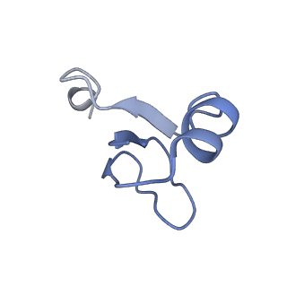 3713_5nwy_U_v1-2
2.9 A cryo-EM structure of VemP-stalled ribosome-nascent chain complex