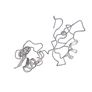 3713_5nwy_V_v1-2
2.9 A cryo-EM structure of VemP-stalled ribosome-nascent chain complex