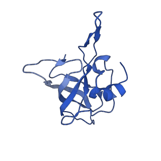 3713_5nwy_X_v1-2
2.9 A cryo-EM structure of VemP-stalled ribosome-nascent chain complex