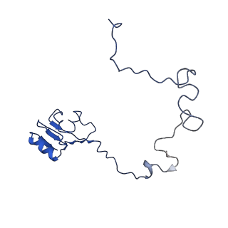 3713_5nwy_Y_v1-2
2.9 A cryo-EM structure of VemP-stalled ribosome-nascent chain complex