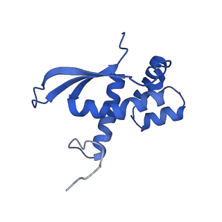 3713_5nwy_a_v1-2
2.9 A cryo-EM structure of VemP-stalled ribosome-nascent chain complex