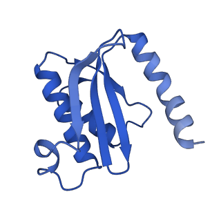 3713_5nwy_b_v1-2
2.9 A cryo-EM structure of VemP-stalled ribosome-nascent chain complex