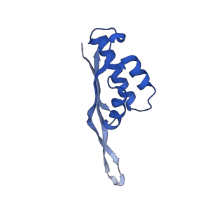 3713_5nwy_f_v1-2
2.9 A cryo-EM structure of VemP-stalled ribosome-nascent chain complex