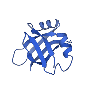 3713_5nwy_i_v1-2
2.9 A cryo-EM structure of VemP-stalled ribosome-nascent chain complex