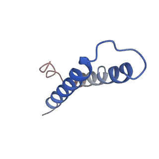 3713_5nwy_l_v1-2
2.9 A cryo-EM structure of VemP-stalled ribosome-nascent chain complex