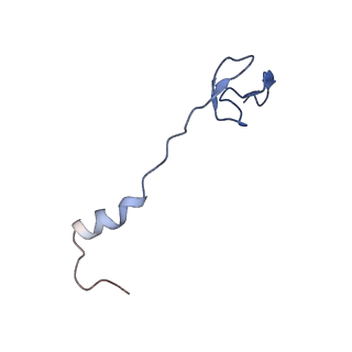 3713_5nwy_n_v1-2
2.9 A cryo-EM structure of VemP-stalled ribosome-nascent chain complex