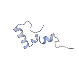 3713_5nwy_p_v1-2
2.9 A cryo-EM structure of VemP-stalled ribosome-nascent chain complex
