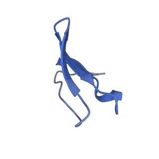 3713_5nwy_r_v1-2
2.9 A cryo-EM structure of VemP-stalled ribosome-nascent chain complex