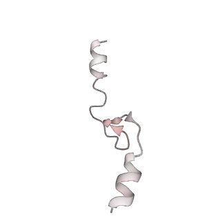 3713_5nwy_s_v1-2
2.9 A cryo-EM structure of VemP-stalled ribosome-nascent chain complex
