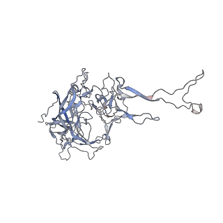 0535_6nxe_1_v1-2
Cryo-EM Reconstruction of Protease-Activateable Adeno-Associated Virus 9 (AAV9-L001)
