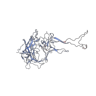 0535_6nxe_1_v1-3
Cryo-EM Reconstruction of Protease-Activateable Adeno-Associated Virus 9 (AAV9-L001)