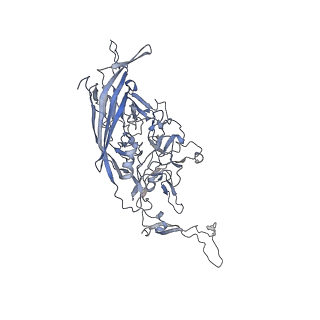 0535_6nxe_2_v1-2
Cryo-EM Reconstruction of Protease-Activateable Adeno-Associated Virus 9 (AAV9-L001)