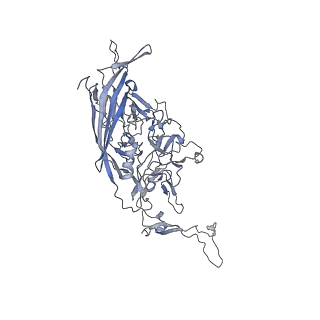 0535_6nxe_2_v1-3
Cryo-EM Reconstruction of Protease-Activateable Adeno-Associated Virus 9 (AAV9-L001)