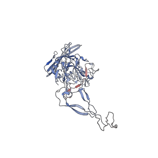 0535_6nxe_3_v1-2
Cryo-EM Reconstruction of Protease-Activateable Adeno-Associated Virus 9 (AAV9-L001)