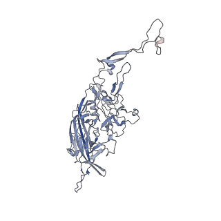 0535_6nxe_4_v1-2
Cryo-EM Reconstruction of Protease-Activateable Adeno-Associated Virus 9 (AAV9-L001)
