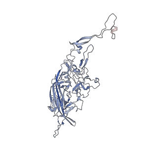 0535_6nxe_4_v1-3
Cryo-EM Reconstruction of Protease-Activateable Adeno-Associated Virus 9 (AAV9-L001)