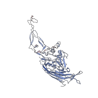 0535_6nxe_5_v1-2
Cryo-EM Reconstruction of Protease-Activateable Adeno-Associated Virus 9 (AAV9-L001)