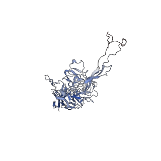 0535_6nxe_6_v1-2
Cryo-EM Reconstruction of Protease-Activateable Adeno-Associated Virus 9 (AAV9-L001)