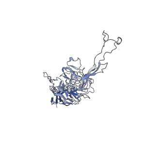 0535_6nxe_6_v1-3
Cryo-EM Reconstruction of Protease-Activateable Adeno-Associated Virus 9 (AAV9-L001)