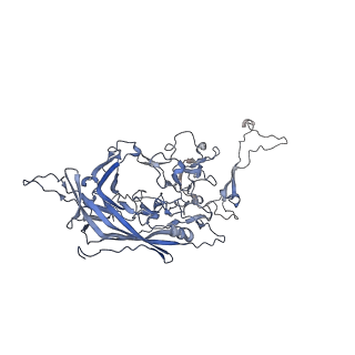 0535_6nxe_7_v1-2
Cryo-EM Reconstruction of Protease-Activateable Adeno-Associated Virus 9 (AAV9-L001)
